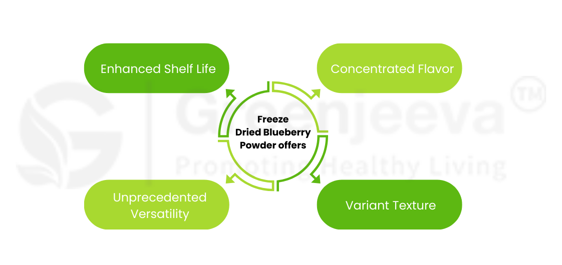  bulk organic freeze-dried blueberry powder